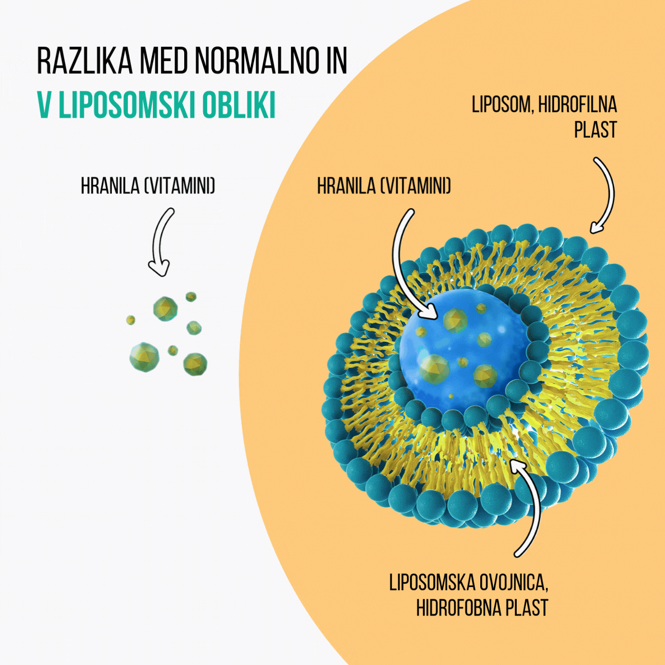 Liposomal vitamin C 250 ml (4)